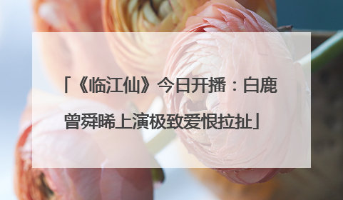《临江仙》今日开播：白鹿曾舜晞上演极致爱恨拉扯