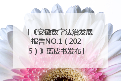 《安徽数字法治发展报告NO.1（2025）》蓝皮书发布