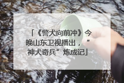 《警犬向前冲》今晚山东卫视播出，“神犬奇兵”炼成记