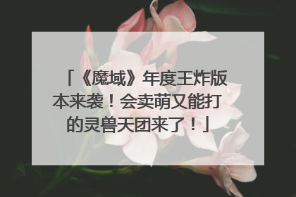 《魔域》年度王炸版本来袭！会卖萌又能打的灵兽天团来了！