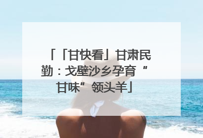 「甘快看」甘肃民勤：戈壁沙乡孕育“甘味”领头羊