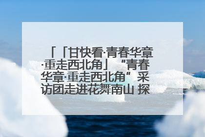 「甘快看·青春华章·重走西北角」“青春华章·重走西北角”采访团走进花舞南山 探寻天水乡村振兴之路