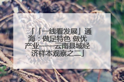 「一线看发展」通海：做足特色 做优产业——云南县域经济样本观察之二