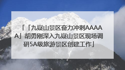 「九嶷山景区奋力冲刺AAAAA」胡勇刚深入九嶷山景区现场调研5A级旅游景区创建工作