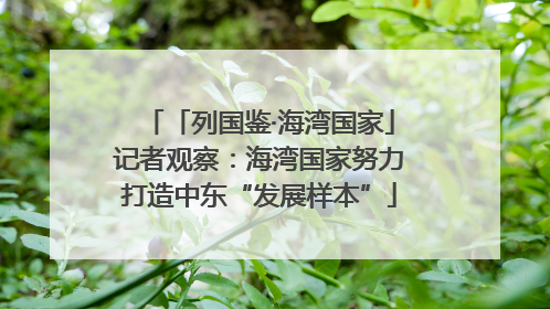「列国鉴·海湾国家」记者观察：海湾国家努力打造中东“发展样本”