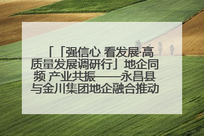 「强信心 看发展·高质量发展调研行」地企同频 产业共振——永昌县与金川集团地企融合推动重大项目建设