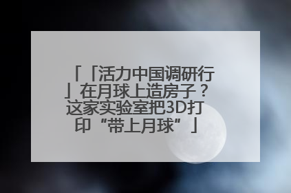 「活力中国调研行」在月球上造房子？这家实验室把3D打印“带上月球”