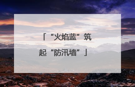 “火焰蓝”筑起“防汛墙”