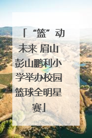 “篮”动未来 眉山彭山鹏利小学举办校园篮球全明星赛