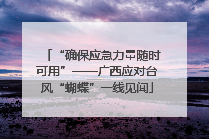 “确保应急力量随时可用”——广西应对台风“蝴蝶”一线见闻