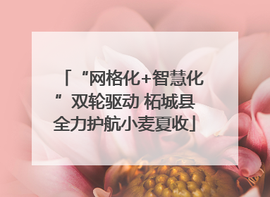 “网格化+智慧化”双轮驱动 柘城县全力护航小麦夏收
