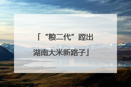 “粮二代”蹚出湖南大米新路子