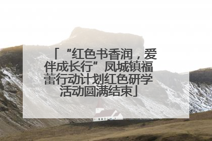 “红色书香润，爱伴成长行”凤城镇福蕾行动计划红色研学活动圆满结束