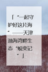 “一起守护好这片海”——天津渤海湾畔生态“蜕变记”