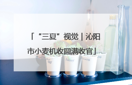 “三夏”视觉｜沁阳市小麦机收圆满收官