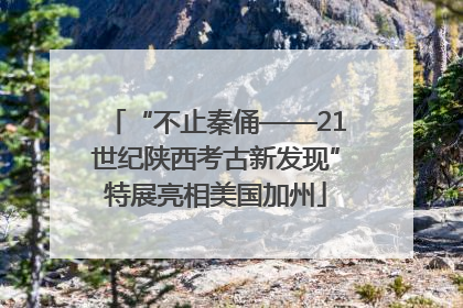 “不止秦俑——21世纪陕西考古新发现”特展亮相美国加州