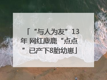 “与人为友”13年 网红麋鹿“点点”已产下8胎幼崽
