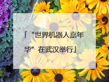 “世界机器人嘉年华”在武汉举行