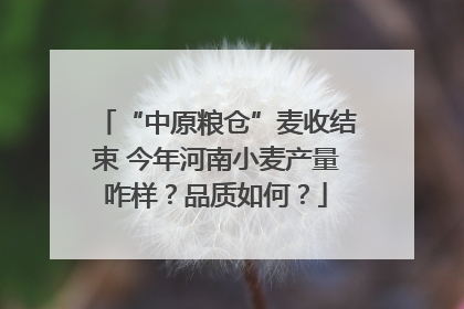 “中原粮仓”麦收结束 今年河南小麦产量咋样？品质如何？