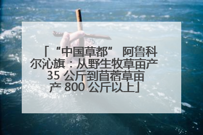 “中国草都” 阿鲁科尔沁旗：从野生牧草亩产 35 公斤到苜蓿草亩产 800 公斤以上