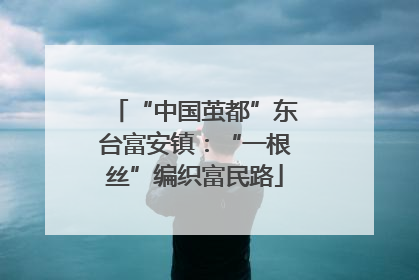 “中国茧都”东台富安镇：“一根丝”编织富民路