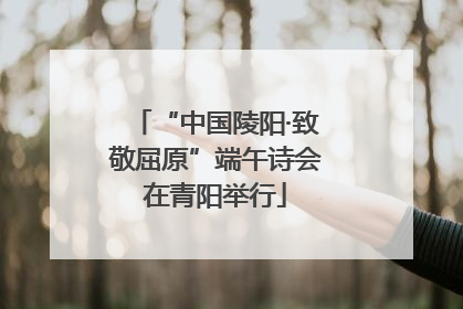 “中国陵阳·致敬屈原”端午诗会在青阳举行
