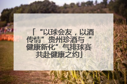 “以球会友，以酒传情”贵州珍酒与“健康新化”气排球赛共赴健康之约