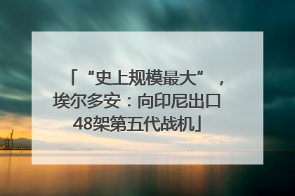“史上规模最大”，埃尔多安：向印尼出口48架第五代战机