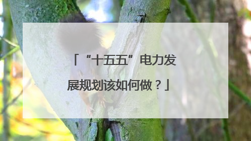 “十五五”电力发展规划该如何做？