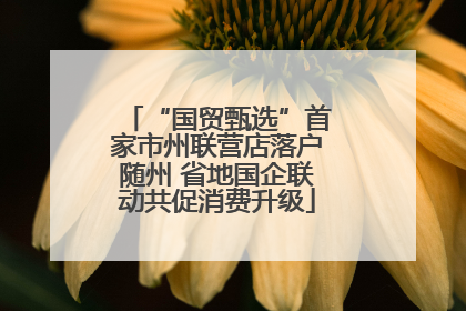 “国贸甄选”首家市州联营店落户随州 省地国企联动共促消费升级