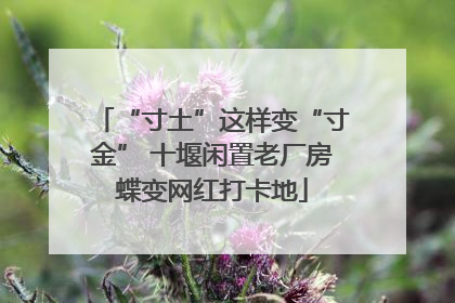 “寸土”这样变“寸金” 十堰闲置老厂房蝶变网红打卡地