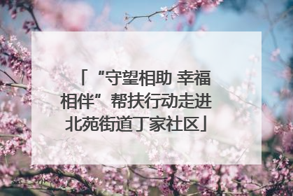 “守望相助 幸福相伴”帮扶行动走进北苑街道丁家社区