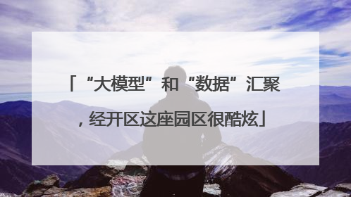 “大模型”和“数据”汇聚，经开区这座园区很酷炫