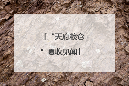 “天府粮仓”夏收见闻