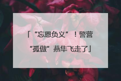 “忘恩负义”！警营“孤傲”燕隼飞走了