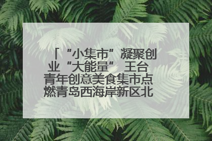 “小集市”凝聚创业“大能量” 王台青年创意美食集市点燃青岛西海岸新区北部新城夜经济