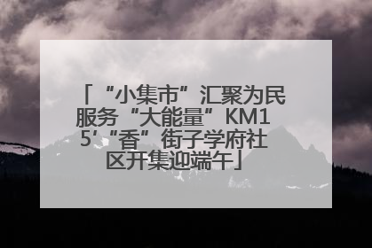“小集市”汇聚为民服务“大能量”KM15′“香”街子学府社区开集迎端午