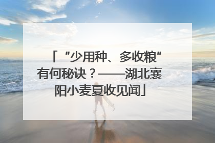“少用种、多收粮”有何秘诀？——湖北襄阳小麦夏收见闻