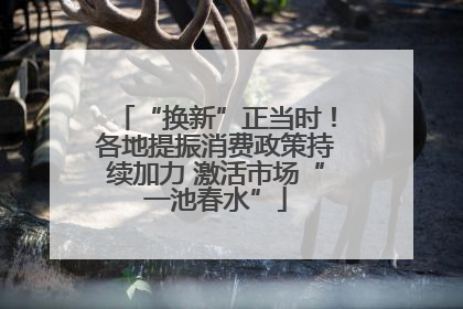“换新”正当时！各地提振消费政策持续加力 激活市场“一池春水”