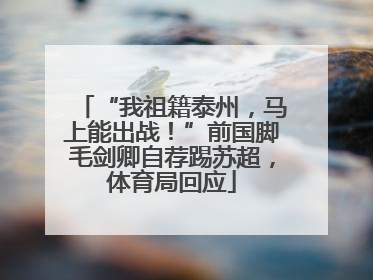 “我祖籍泰州，马上能出战！”前国脚毛剑卿自荐踢苏超，体育局回应