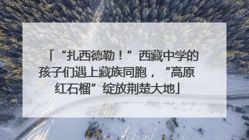 “扎西德勒！”西藏中学的孩子们遇上藏族同胞，“高原红石榴”绽放荆楚大地