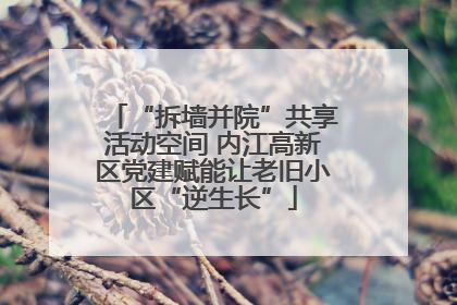 “拆墙并院”共享活动空间 内江高新区党建赋能让老旧小区“逆生长”