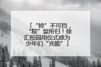 “柿”不可挡，“粽”望所归！徐汇校园用仪式感为少年们“充能”