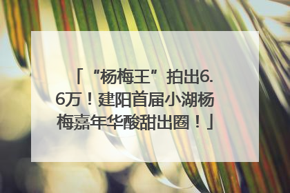 “杨梅王”拍出6.6万！建阳首届小湖杨梅嘉年华酸甜出圈！