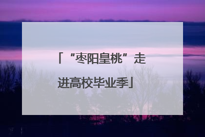 “枣阳皇桃”走进高校毕业季
