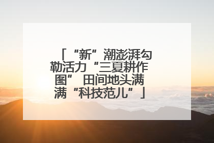 “新”潮澎湃勾勒活力“三夏耕作图” 田间地头满满“科技范儿”