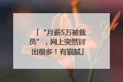 “月薪5万被裁员”，网上突然冒出很多！有猫腻