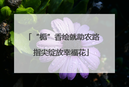 “栀”香绘就助农路 指尖绽放幸福花