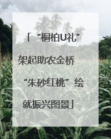 “桐柏U礼”架起助农金桥 “朱砂红桃”绘就振兴图景