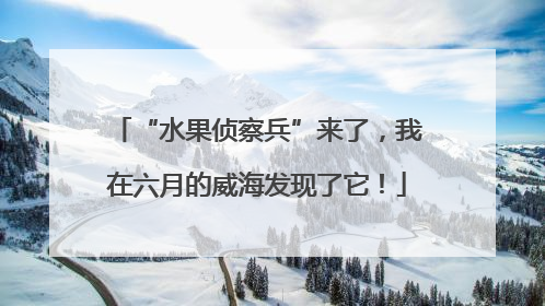 “水果侦察兵”来了，我在六月的威海发现了它！